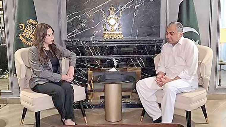 وزیرداخلہ ، امریکی ناظم الامور ملاقات  اسلام آبادمذاکرات پر گفتگو