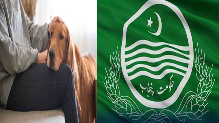 پنجاب میں پالتو کتوں کی رجسٹریشن لازمی قرار 