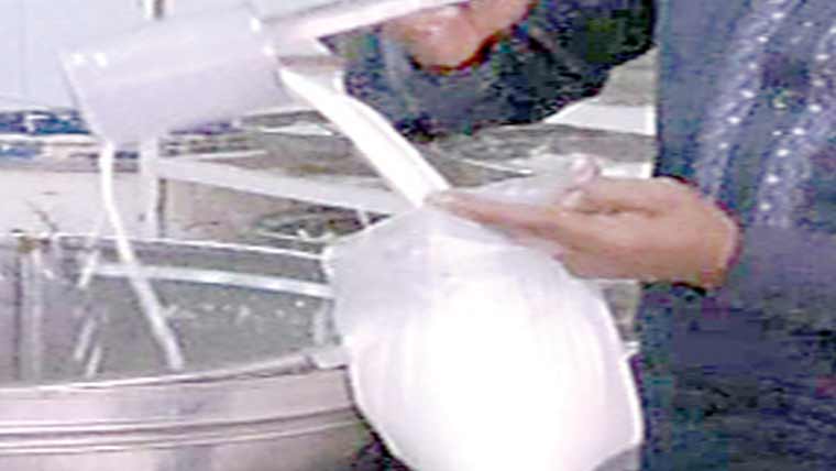   ملاوٹ شدہ دودھ تلف 