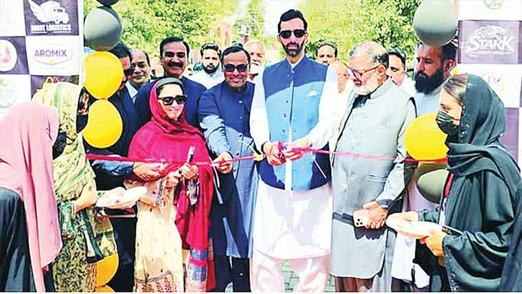 ٹو بہ : یونیورسٹی آف کمالیہ میں بزنس ایکسپو 2026 کا افتتاح