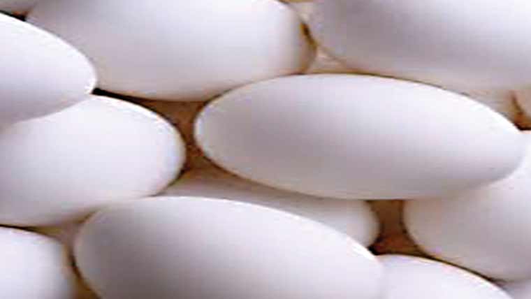 246روپے درجن فروخت 