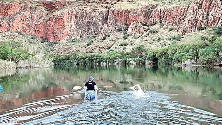 مگرمچھوں سے بھرے دریا میں 55 کلومیٹر تیراکی کاریکارڈ 