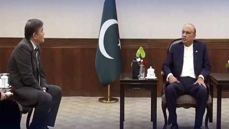  صدرزرداری کی چینی کمپنی کو پاکستان میں سرمایہ کاری کی دعوت 