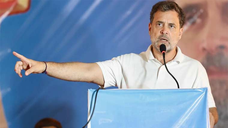 گرینڈ نیکوبار منصوبے پر تنقید 