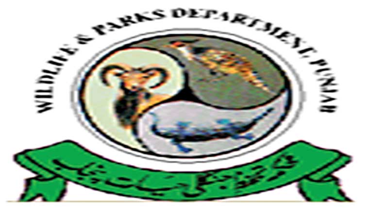 ایکٹ کی خلاف ورزی 