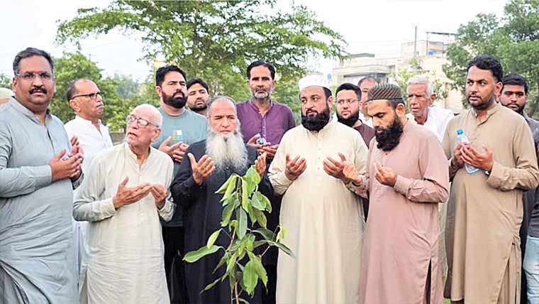  جڑانوالہ کو سرسبز بنانے کا ہدف، 10ہزار پودے لگانے کی مہم 