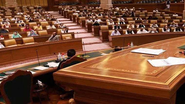 انسداد منشیات کیلئے تعلیمی ادارے  نگرانی کا نظام بنائیں:قائمہ کمیٹی 