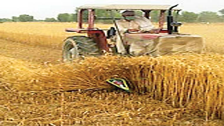  ٹریکٹر سے فضل تباہ کر دی 