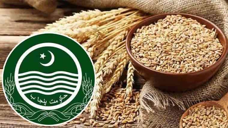 سرکاری گندم کی ریلیز پرائس 3ہزار 800روپے فی من مقرر