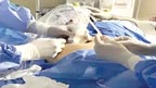  ماں کے پیٹ میں موجود بچے کی کامیاب سرجری 