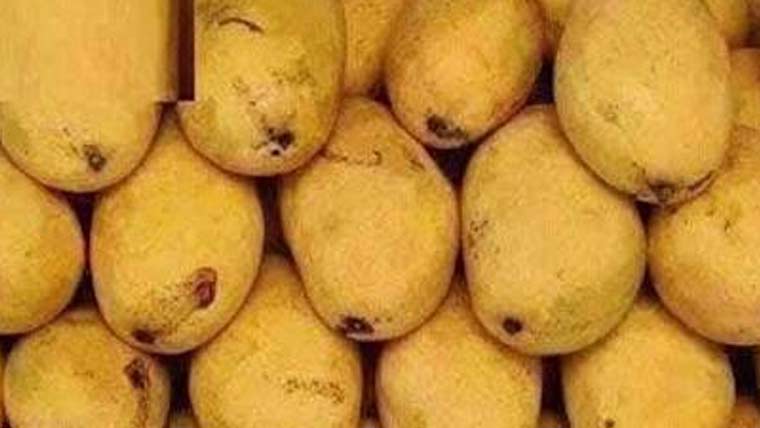 پاکستانی آم لینڈ پورٹ  کے ذریعے سنکیانگ پہنچ گئے