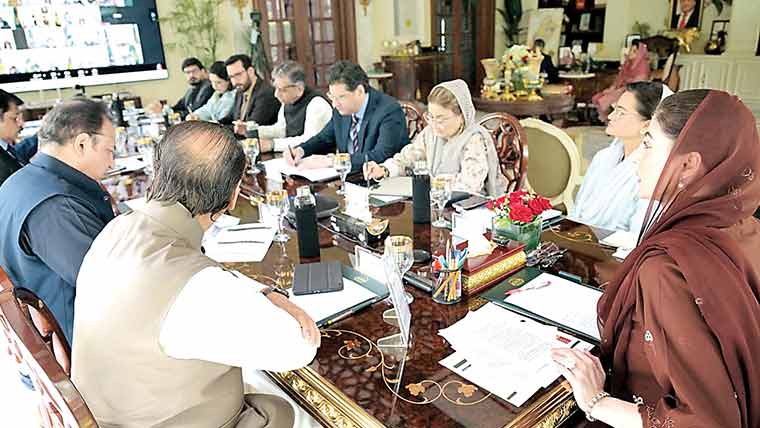 مریم نواز کا کوآپریٹو، نجی ہاؤسنگ سوسائیٹز میں بھی صفائی یقینی بنانے کا حکم