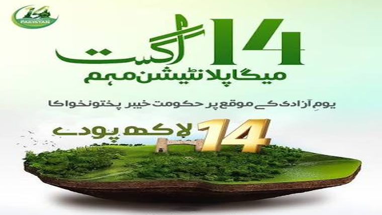 خیبر پختونخوا میں یومِ آزادی پر 14  لاکھ سے زائد پودے لگانے کااعلان 