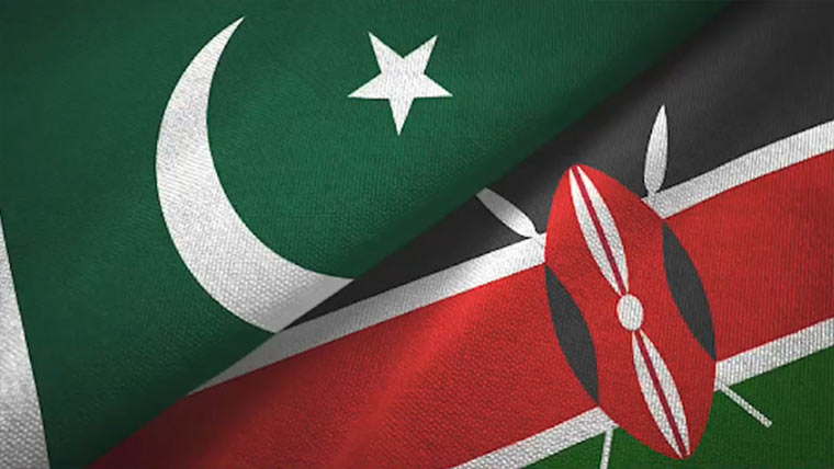 افریقی  ممالک  میں  پاکستانیوں  کے  غیر  قانونی  اثاثے،واپسی  کیلئے  معاہدوں  کی  تجویز