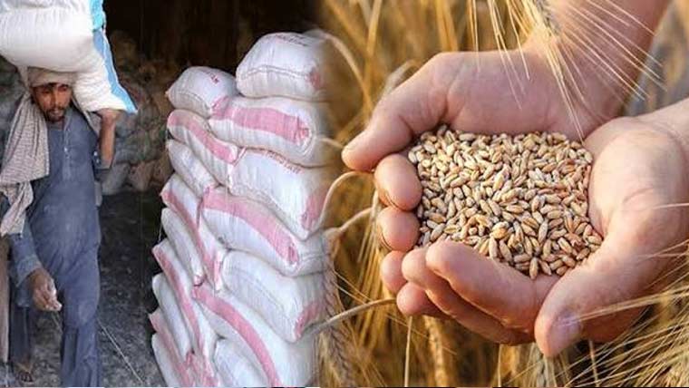 گندم مہنگی، آٹے کے 10اور 20کلو کے تھیلے غائب