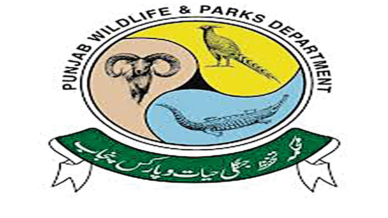 4شکاریوں کیخلاف ایکشن