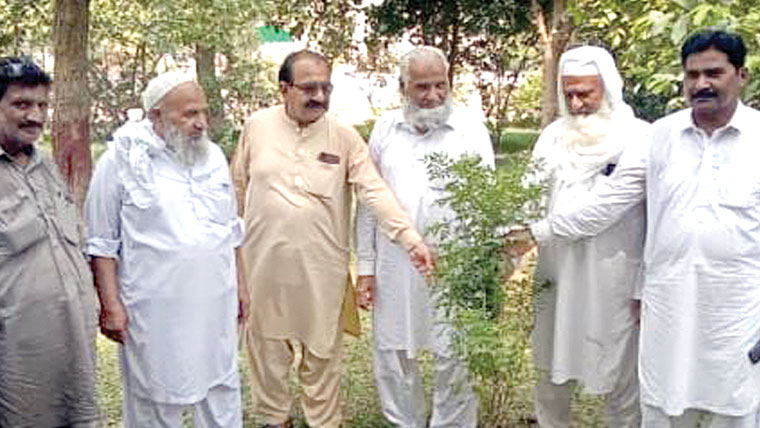 تنظیم مغلیہ کی شجرکاری ، دانیوال قبرستان میں پودے لگائے 