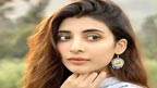 فارمولا سکرپٹس کا دورختم ،نئے موضوعات ضروری :عروہ