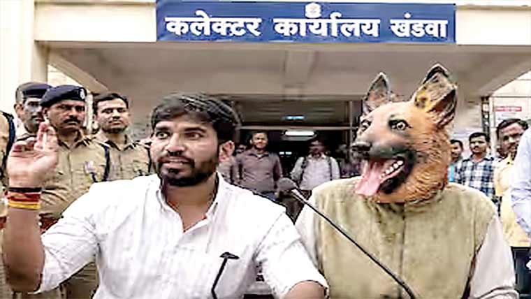 آوارہ کتوں سے پریشان بھارتی شہری خود ’’کتا‘‘ بن گیا