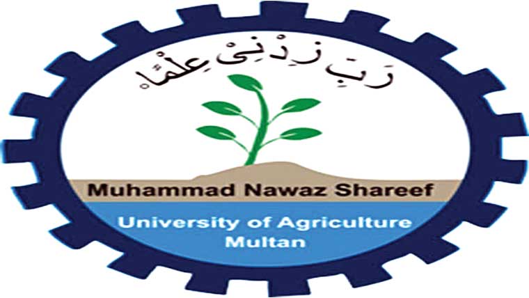 شعبہ عربی کا اہم اجلاس