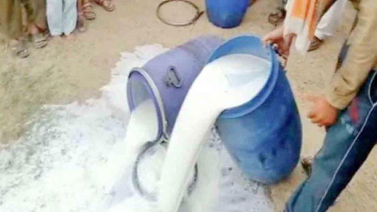 ناقص دودھ کی گاڑی کو پکڑ کر 1400 لیٹر غیر معیاری دودھ تلف 