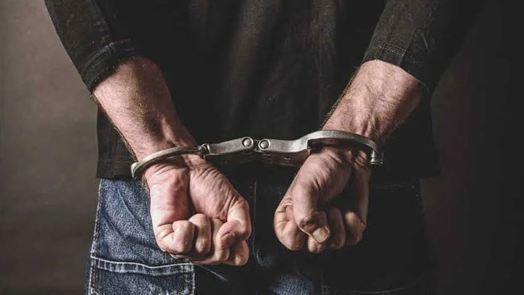 درخت کاٹنے کے تنازع  پر قتل، دو بھائی گرفتار