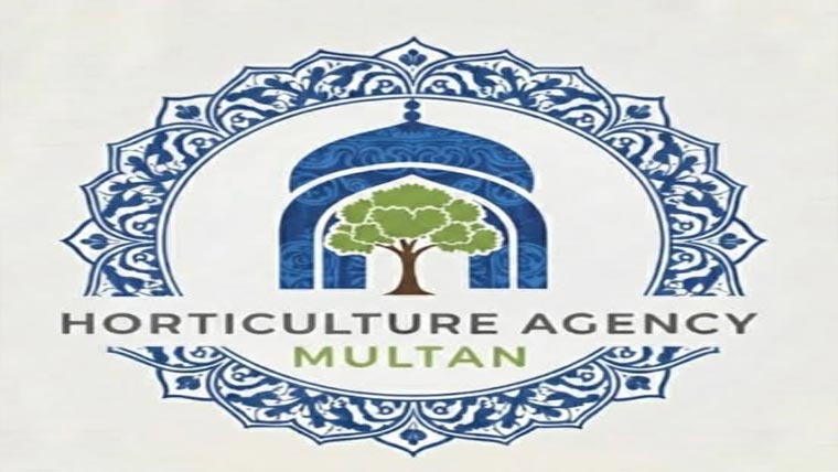 شہر کے چوکوں، پارکوں، گرین بیلٹس کی تزئین و آرائش 