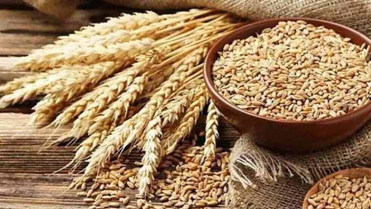  ملک میں گندم کی فروخت کیلئے نیا فارمولا تشکیل دینے کا فیصلہ 