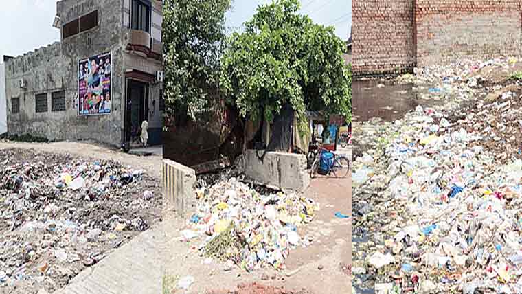 کوڑے کے ڈھیر ، علی پورچٹھہ میں صفائی ستھرائی کا نظام ابتر