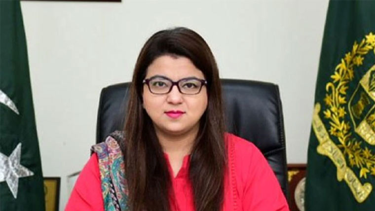 حکومت نے PTCتنظیم نو ترمیمی بل سینیٹ سے واپس لے لیا