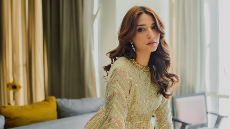 آئندہ کیمرے کے سامنے دکھائی نہیں دوں گی:رمشا خان