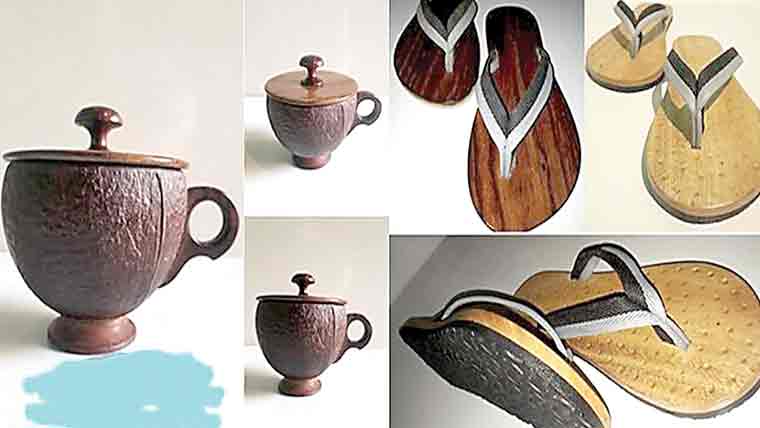 چپل، کنگھے اور برتن ،انڈیا میں نیم کا انوکھا استعمال