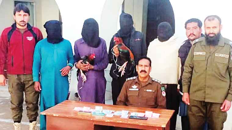 مرغوں کی لڑائی پر جواء ،چار  جواری گرفتار، داؤ پر لگی رقم مرغے ،فونز برآمد،5ملزم فرار