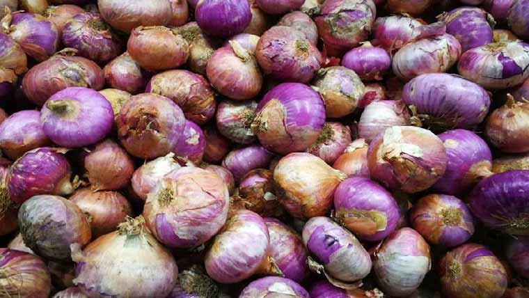 زیریں سندھ:قیمتیں گرنے سے پیاز کھیتوں میں سڑنے لگا