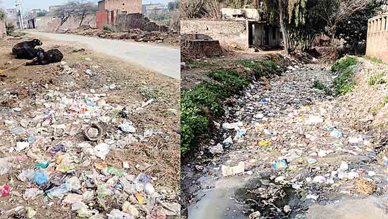 علی پور :گوبر کے ڈھیر‘ صفائی کی ابتر صورتحال ، شہری پریشان 