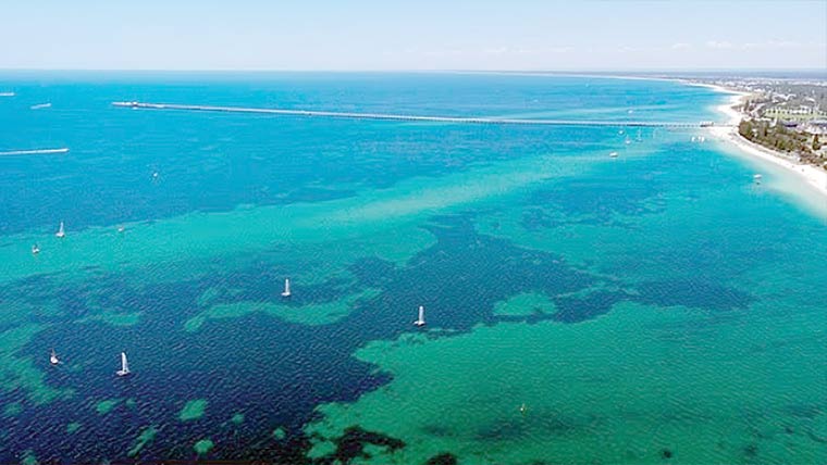  بچے نے سمندر میں 4گھنٹے تیر کر خاندان کی زندگی بچالی