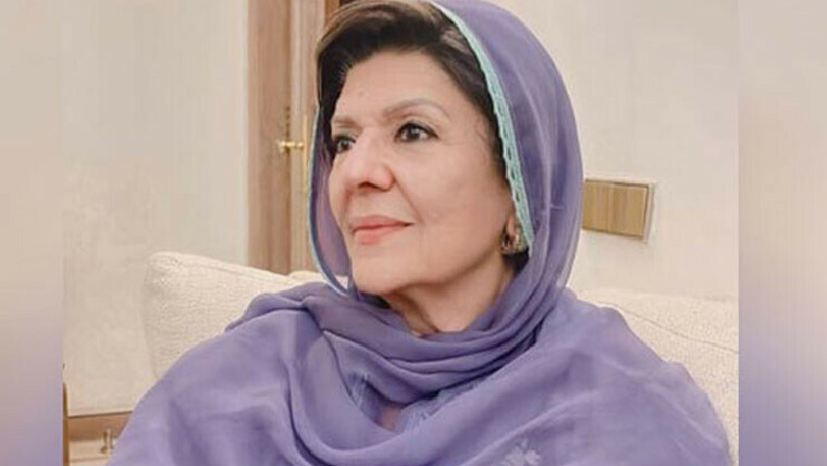  لگتا ہے ججوں نے ہاتھ کھڑے کردیئے ہیں، علیمہ خان 