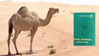 سعودی عرب کا اونٹوں کو پاسپورٹ جاری کرنے کا اعلان