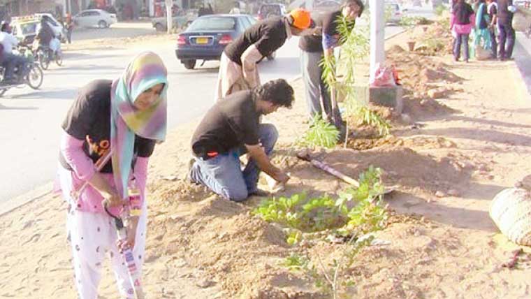 شجرکاری کی تقریب 