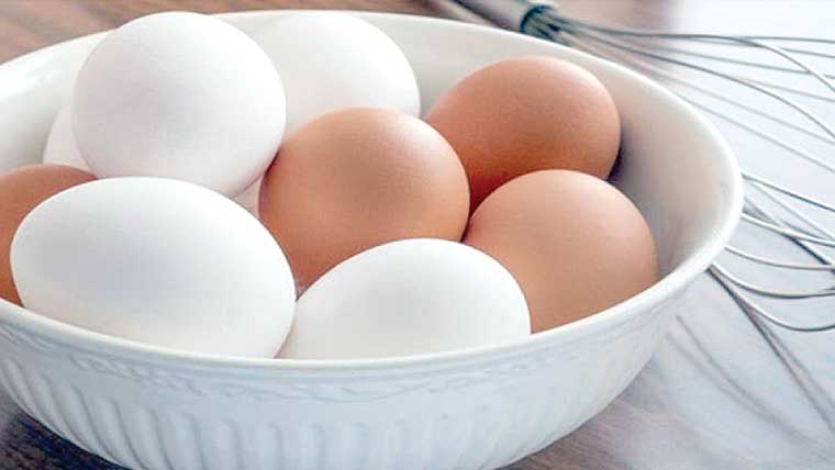 انڈہ توڑنے سے قبل کیسے پہچانیں کہ وہ خراب ہے یا نہیں 