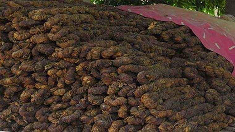 تمباکو کی برآمدات  میں 30.92 فیصد کمی