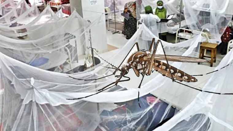  ڈینگی کا خدشہ 3 ہزار سے زائد مقامات اور عمارتیں حساس قرار