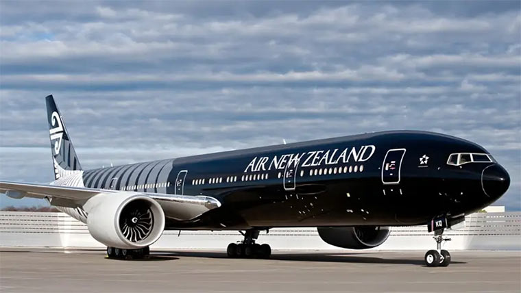  طیارے اکثر سفید ہوتے لیکن نیوزی لینڈ کے کالے کیوں 