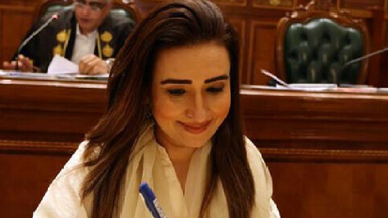  فیشن اینڈ ڈیزائن انسٹیٹیوٹ کی  وی سی کو فوری ہٹانے کی سفارش