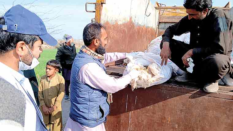  منی ٹرک سے 1500 کلو مردہ مرغیوں کا مضر صحت گوشت برآمد 