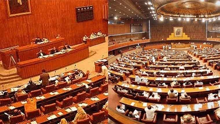 ماں پاکستانی ہونے کی بنیاد پر بھی شہریت مل سکے گی، قانون منظور 