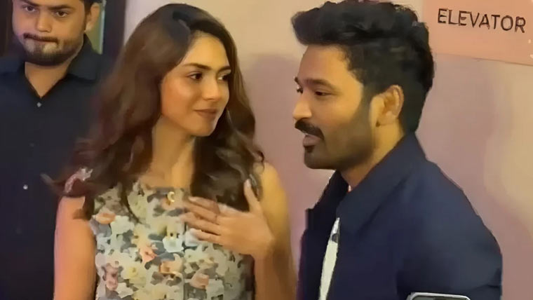 دھنوش سے شادی کی افواہیں ، یہ سب خوفناک ہے :مرونال ٹھاکر 