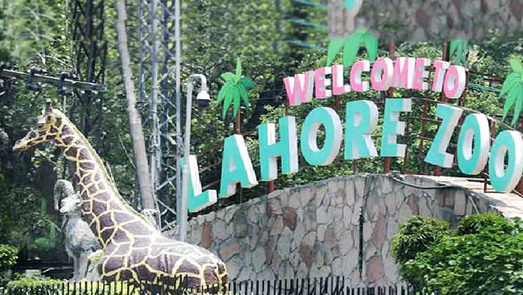 چڑیاگھر کے ہولوگرام پراجیکٹ میں بے  ضابطگیوں کی رپورٹ اعلیٰ حکام کوارسال 