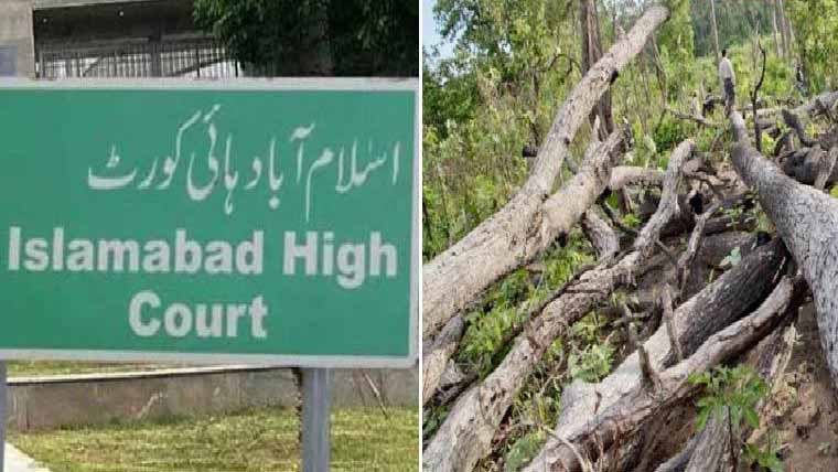 اسلام آبادہائیکورٹ:درختوں کی کٹائی روکنے کے کیس کی کازلسٹ منسوخ