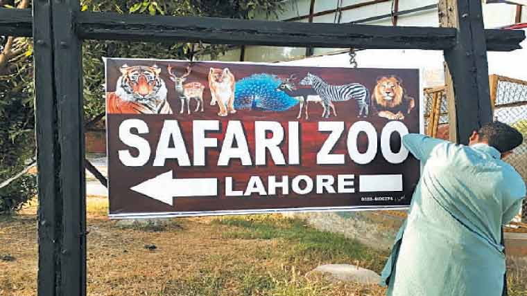 سفاری پارک: جدید طرز کے منفرد ’’ٹری کیفے ‘‘کی تعمیر جاری